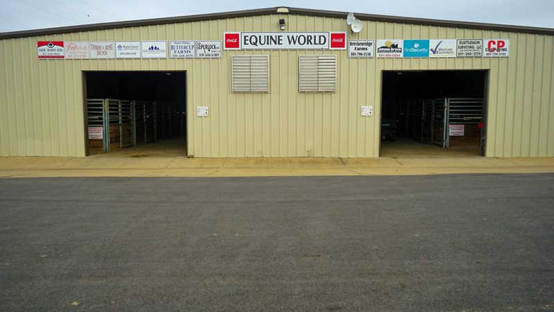 Equine-World